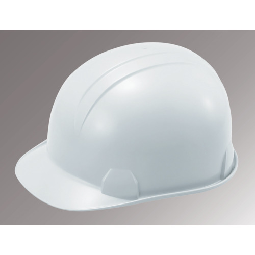 タニザワ ABS製安全帽 181-FZ-W1-J ST＃181-FZ(EPA) 帽体色 白いこと 10個まとめ売り 10個 【まとめ売り商いもの】