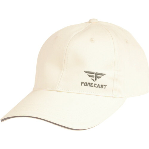 カジメイク 6521 6521-02-F フォーキャストキャップ2 内燃機関白いこと 無償性 24個まとめ売り 24個 【まとめ売り商いもの】