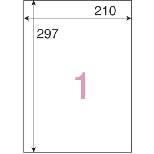 JTX 46685)OA付け紙 A048J レーザ用 全面 100枚 A048J 5冊まとめ売り 5冊 【まとめ売り商いもの】