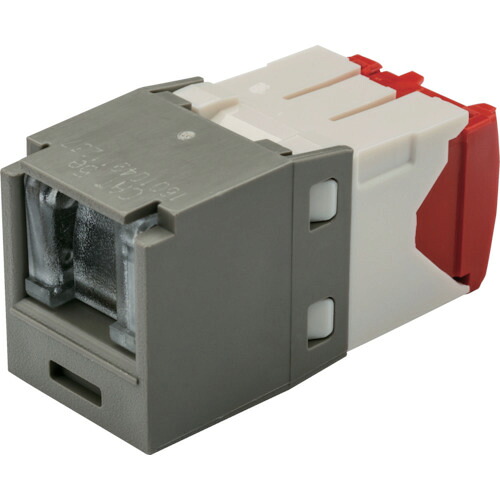PANDUIT 科目5E CJH5E88TGIG シャッター付モジュラージャック ともし火薄墨色 50個まとめ売り 50個 【まとめ売り商いもの】