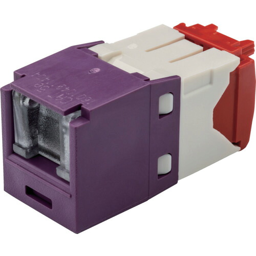 PANDUIT 科目5E CJH5E88TGVL シャッター付モジュラージャック 紫 50個まとめ売り 50個 【まとめ売り商いもの】