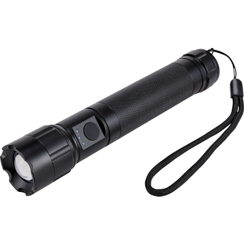 ELPA LEDアルミライト DOP-EP560 10PKまとめ売り 10PK 【まとめ売り商品】