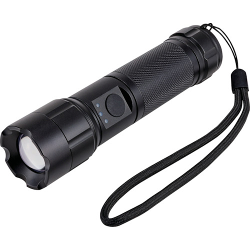 ELPA LED軽銀点火装置 DOP-EP540 10PKまとめ売り 10PK 【まとめ売り商いもの】