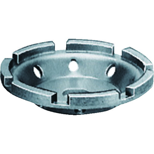 日東 ミルスケーラー用ジェットホイ－ルASSY(TA9A931) EMS-JF