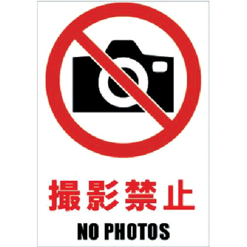 ホリコー Glassticker(硝子ステッカー)04 GS-100145-04 映画化押しとどめる 100mm×145粍 8枚まとめ売り 8枚 【まとめ売り商いもの】