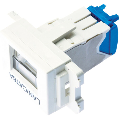 PANDUIT カテゴリ6AJISプレート用ジャックキット JASSP6ATGIW オフホワイト 10個まとめ売り 10個 【まとめ売り商品】