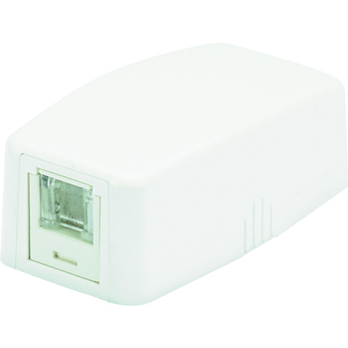 PANDUIT CAT5Eスプリングシャッター付きローゼットキット JOQ1H500 1個口 白 JOQ1H500 10個まとめ売り 10個 【まとめ売り商品】