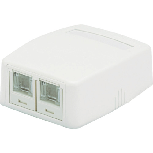 PANDUIT CAT6Aスプリングシャッター付きローゼットキット JOQ2H6A00 2個口 白 JOQ2H6A00 10個まとめ売り 10個 【まとめ売り商品】