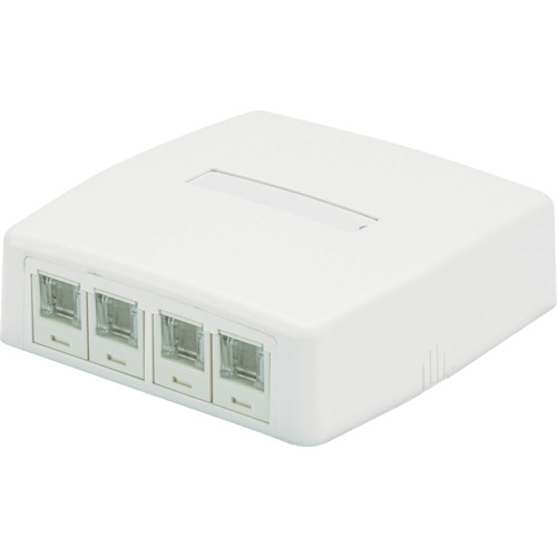 PANDUIT CAT6Aスプリングシャッター付きローゼットキット JOQ4H6A00 4個口 白 JOQ4H6A00 10個まとめ売り 10個 【まとめ売り商品】