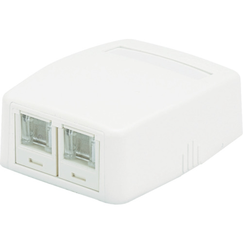 PANDUIT CAT5E発条シャッター付き添い人ローゼットキット JOQ2H500 2個口 白 JOQ2H500 10個まとめ売り 10個 【まとめ売り商いもの】