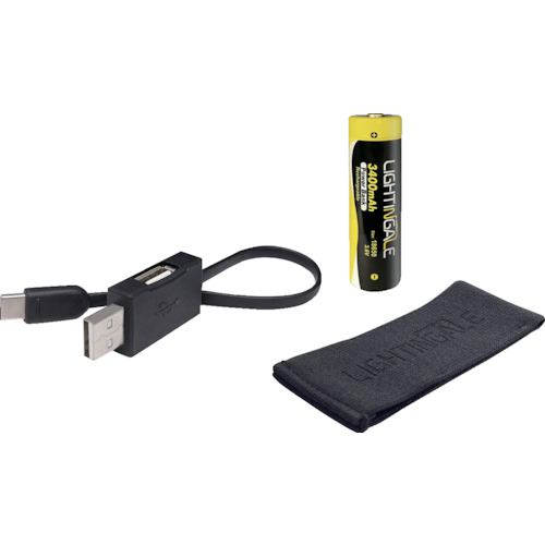 ライティンゲイル スマホにも給電できるリチウムイオン申し受ける池2600mA/USB-TYPE-C/18650印字機 LTG0002 10PKまとめ売り 10PK 【まとめ売り商いもの】