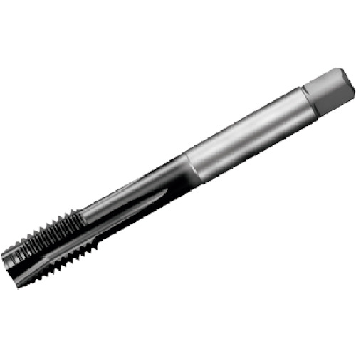 SANDVIK コロタップ200 T200-PM101JB-M20X150 尖んがり水道栓(780) P1PM