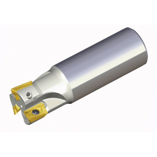 TAEGUTEC ミーリングカッター TE90AP 332-W32-17-C チェイスミル