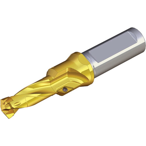 TAEGUTEC 刃先交換式ドリルホルダー TCD 210X48X25T2-M24 ドリルラッシュ|設備プロ王国 店