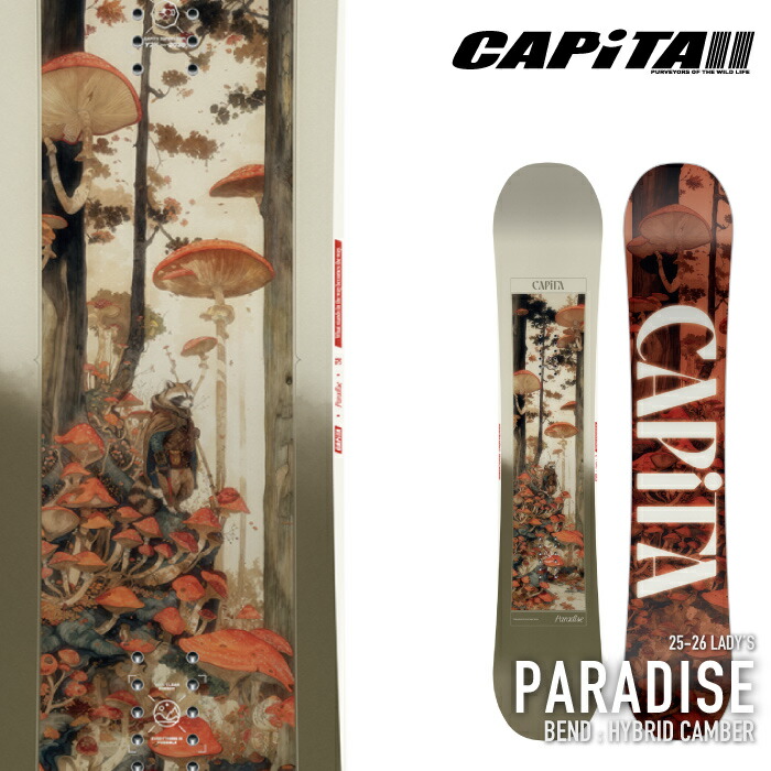 楽天市場】レビューでクーポン☆[日本正規品] スノーボード 板