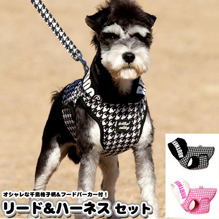 楽天市場】犬 猫 ハーネス リード付 ペット 服 リボン ストライプ 胴輪 キャット ドッグ メッシュ h0135 : セブンブリッジ