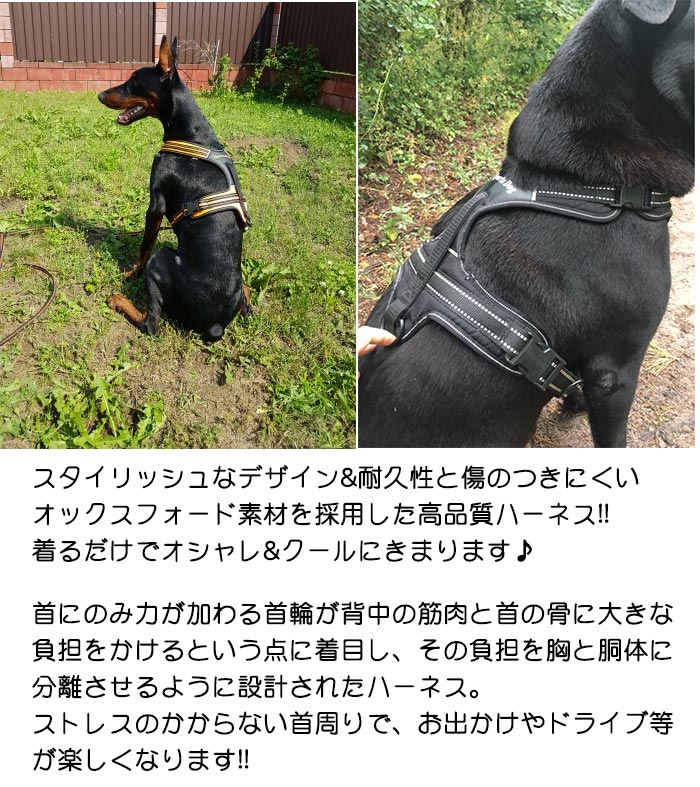 楽天市場 犬 ハーネス ベスト ペット 服 胴輪 キャット ドッグ メッシュ ドッグウェア 大型犬 中型犬 H01 セブンブリッジ