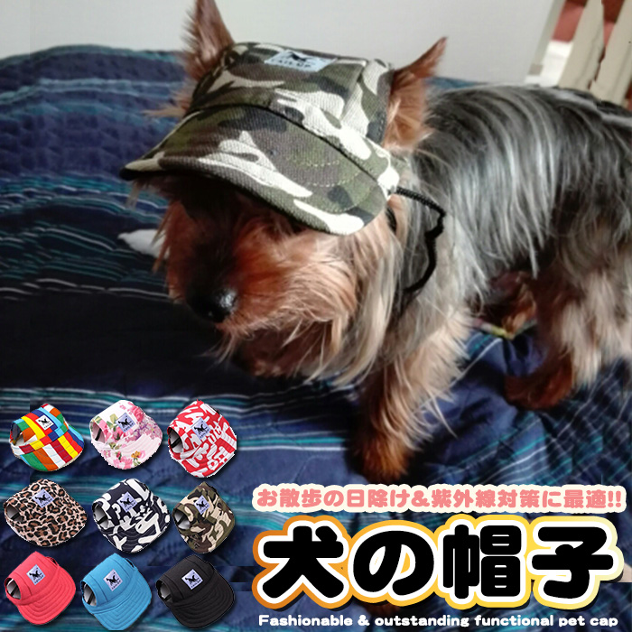 楽天市場 耳上げサンバイザー 小型犬用sサイズ たれ耳犬 スポーティー カジュアル かっこいい 紫外線対策 犬の健康 耳の病気 耳のケア 外耳炎 通気性 ジメジメ じめじめ マルチーズ トイプードル 小型犬 Tailhouse テイルハウス