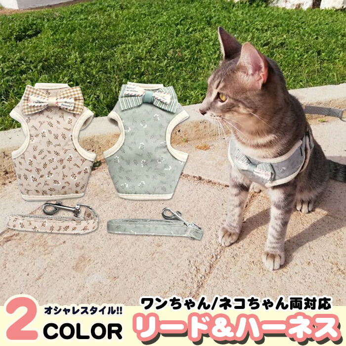 楽天市場】犬 猫 ハーネス リード付 ペット 服 リボン ストライプ 胴輪 キャット ドッグ メッシュ h0135 : セブンブリッジ