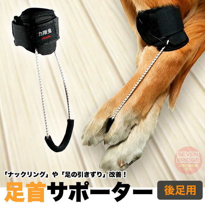 犬 サポーター 足首 足首プロテクター ナックリング 対策 後ろ足用 関節 保護 足引きずる 歩行サポート 介護 高齢犬 リハビリ h0647