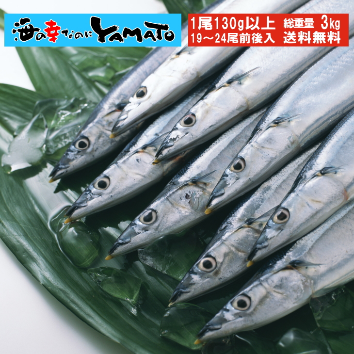 三陸産 鮮 秋刀魚 1尾130g以上保証 総重量3kg(19〜24尾入が目安となります) 食べ方ガイド付き さんま サンマ