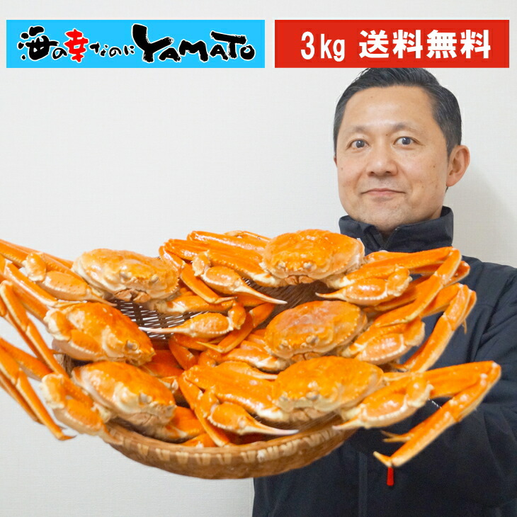 本ズワイ蟹姿造り 3kg(5～8尾入り)  カニ かに 蟹 ずわい ずわいがに ずわい蟹 ズワイ  ズワイガニ 蟹味噌 カニ味噌 海の幸 敬老の日 お歳暮 お祝い お歳暮