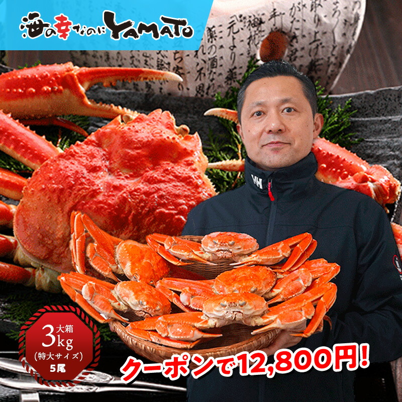 ボイル本ズワイ蟹“超特大”姿造り3kg に 5尾（特大） カニ かに 蟹 ずわい ずわいがに ずわい蟹 ズワイ  ズワイガニ 蟹味噌 カニ味噌 海の幸 敬老の日 お歳暮 お祝い お歳暮