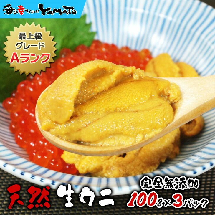 天然生ウニ100g×3パック ミョウバン不使用完全無添加  2014年グルメ大賞受賞 うに 雲丹 海鮮丼 寿司 お歳暮