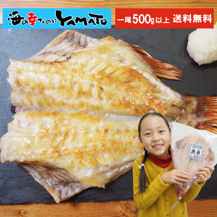 特大 赤魚の開き干し 1枚500g以上 冷凍食品 あかうお 干物  あす楽