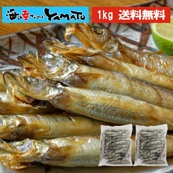 【楽天市場】子持ち シシャモ 一夜干し 山盛り1kg(500g×2袋) ししゃも カペリン おつまみ:海の幸なのにYAMATO