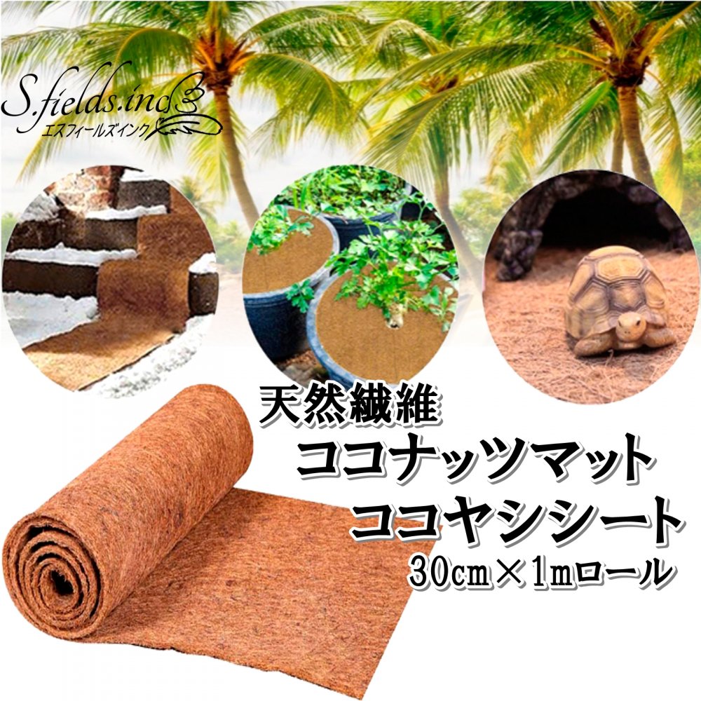 ココヤシ 約60cm 616T-AzfBTL._AC_UF350,