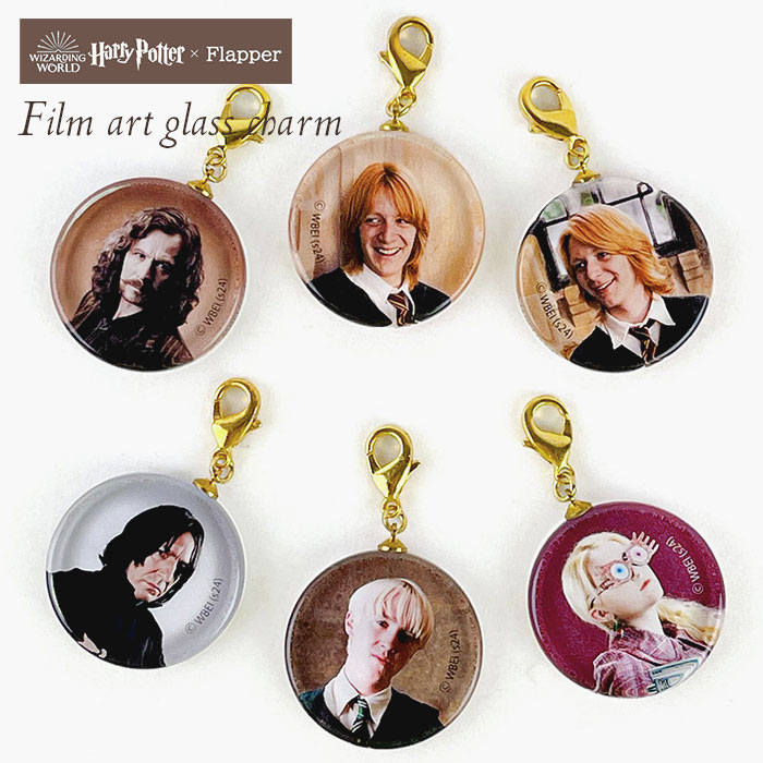 楽天市場】【25.セブルス・スネイプ】ハリー・ポッター ぱしゃこれ