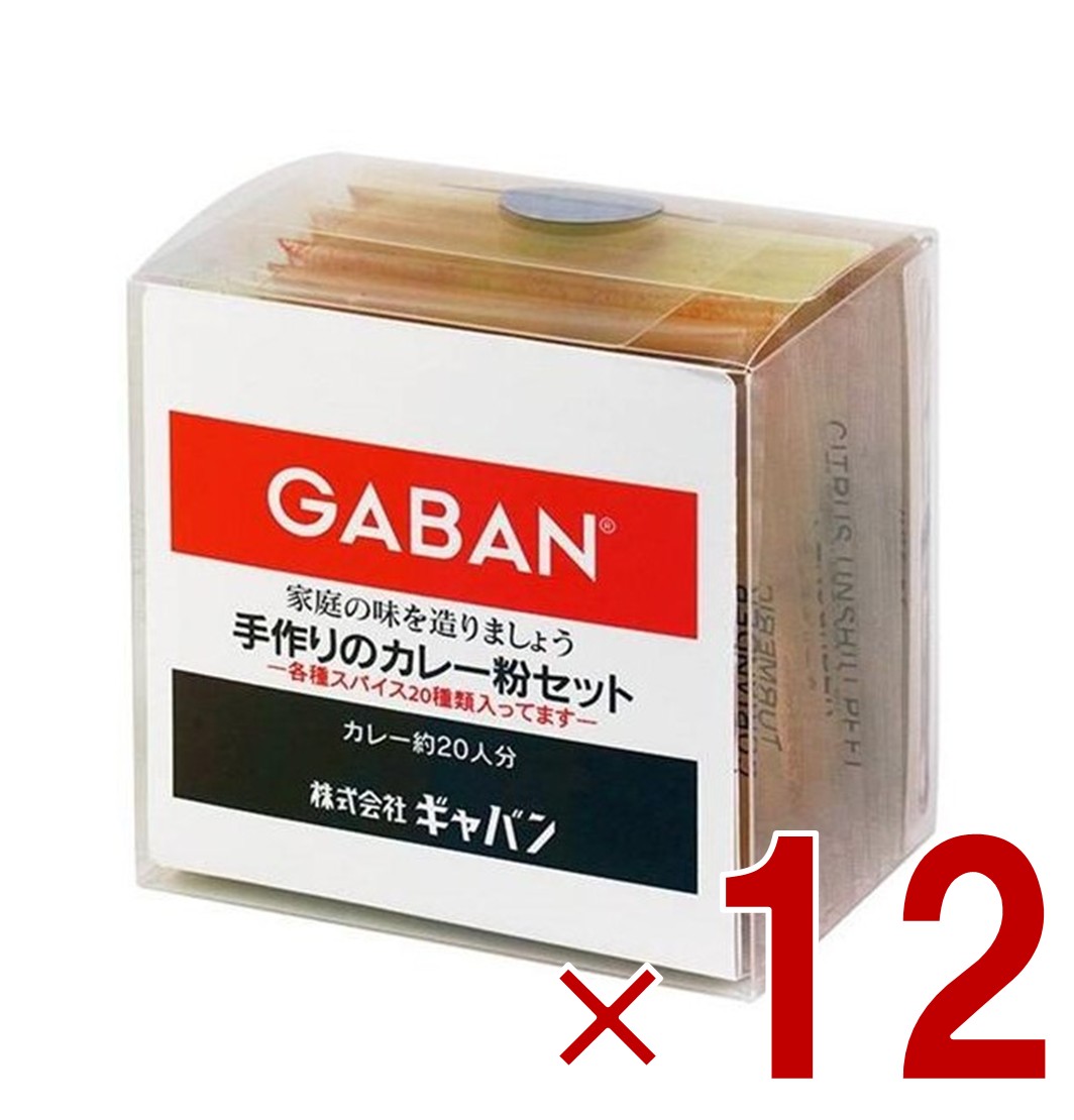 【P最大5倍 要エントリー 4-10日マラソン限定】GABAN ギャバン スパイス 手作り カレー粉セット 100g カレーペースト カレーライス 香辛料 調味料 減塩 塩分控えめ 12個 7,218円