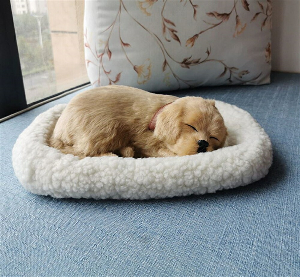 楽天市場】ボクサー(2L) douglas toy ダグラス社 犬 ぬいぐるみ リアル