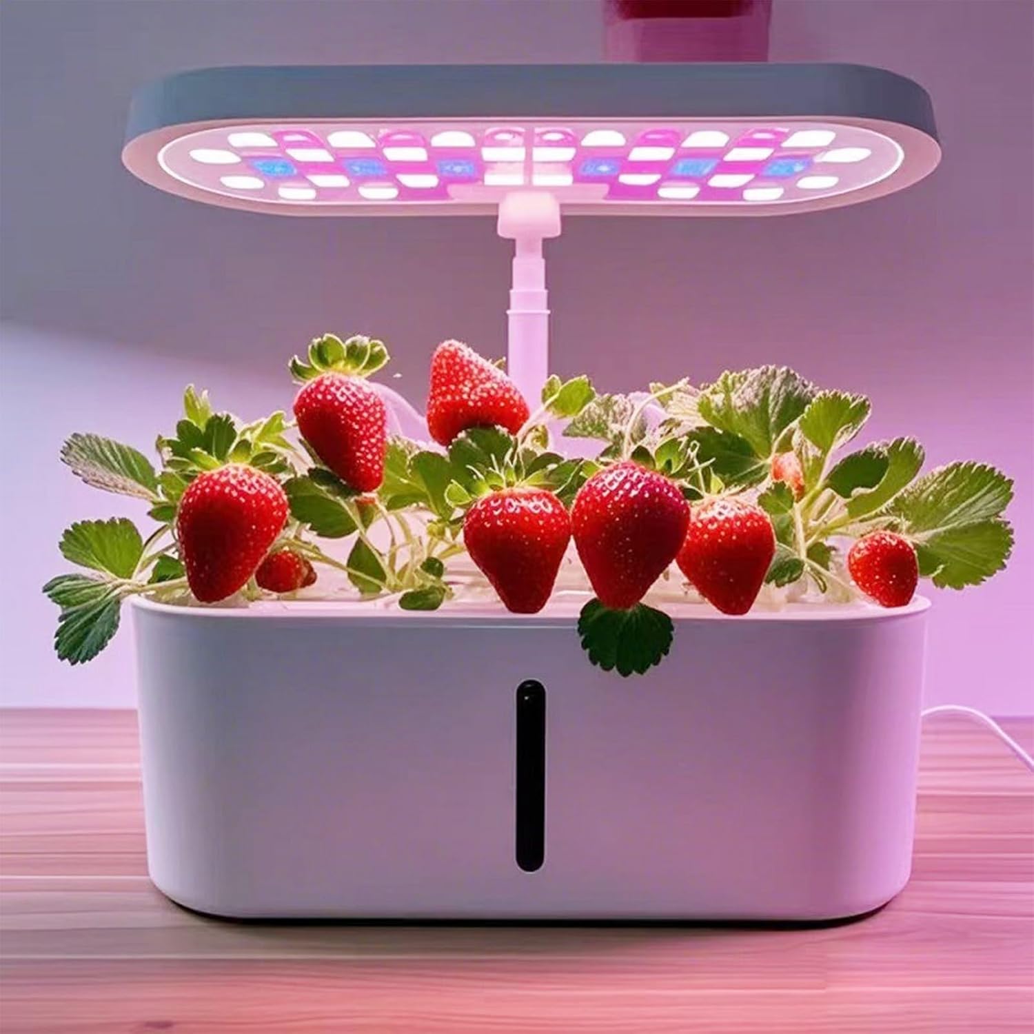 【楽天市場】水耕栽培キット 室内用 LED植物成長ライト搭載 同時に8植物を栽培 水位表示 高さ調節機能付き スマートタッチ 自動フィルライト ...