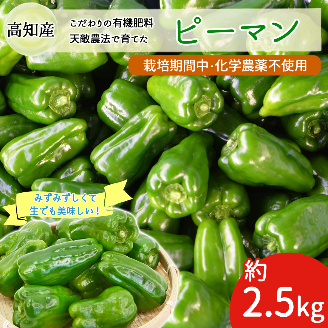 楽天市場】【国産】ピーマン 4kg Lサイズ約80-90個入り 約50g