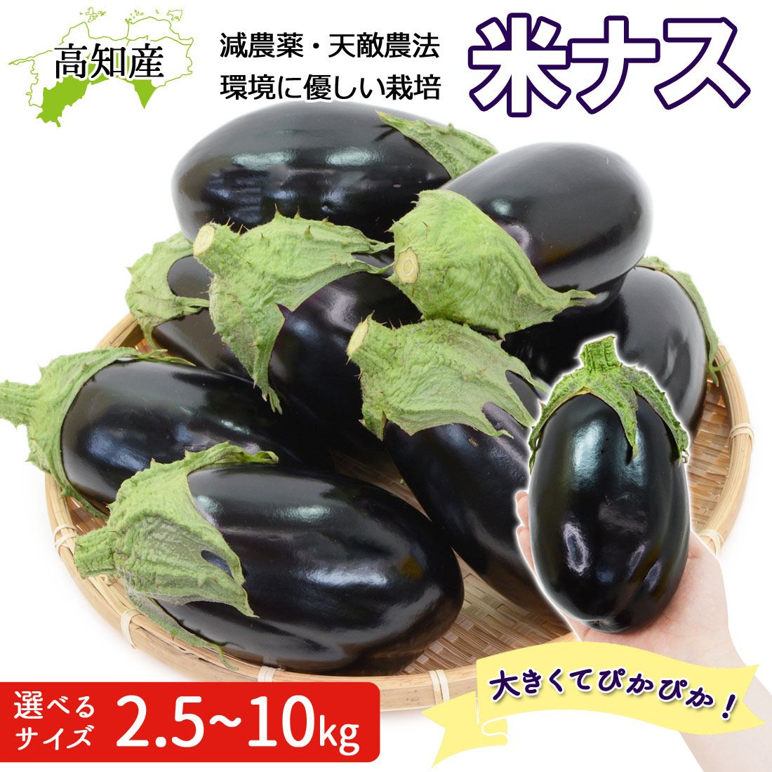 なすページ Amazon.co.jp: 高知県産 米なす（べいなす） Mサイズ 2.5kg（9玉