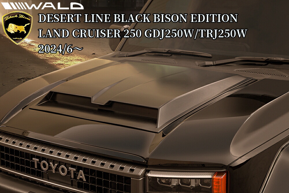 楽天市場】250系ランドクルーザーZX/VX ボンネットフードカバー未塗装