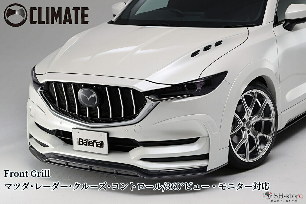 楽天市場】CX-8前期 サイドステップ未塗装/ドアパネル未塗装