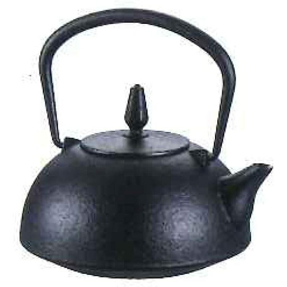 楽天市場】南部池永 急須 庵 いおり 41655 南部鉄器 日本製 和風 内面