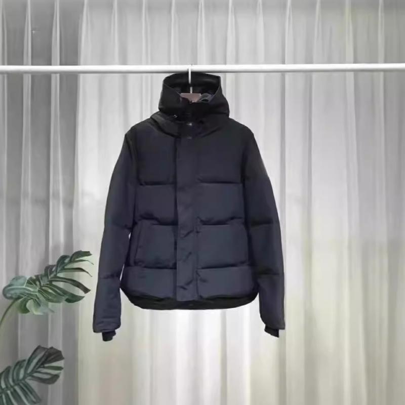 羽?服 メンズ 成人男性用 加厚 アウター 防寒 防撕裂 撥水 立襟 ボンネット付き添い人 白ダックダウン ポリエステル 牛乳白いこと 薄墨色 黒いこと 黒 紺 うす暗い青色 化けの皮 S M L XL XXL