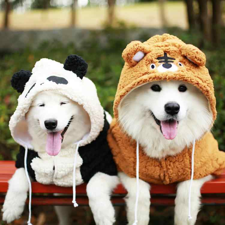 犬 服 大型犬 中型犬 コットン ペット 秋冬 ドッグウェア ゴールデンレトリバー ラブラドール 虎 パンダ 狐 錦鯉 かわいい カジュアル