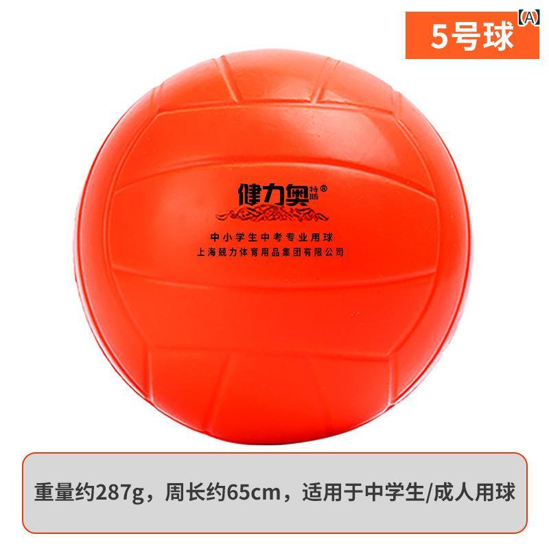 排球 小学生 子供用 5号 4号 3号 軟式 避球 海綿 クッション性 インドア 練習用 収納袋付き