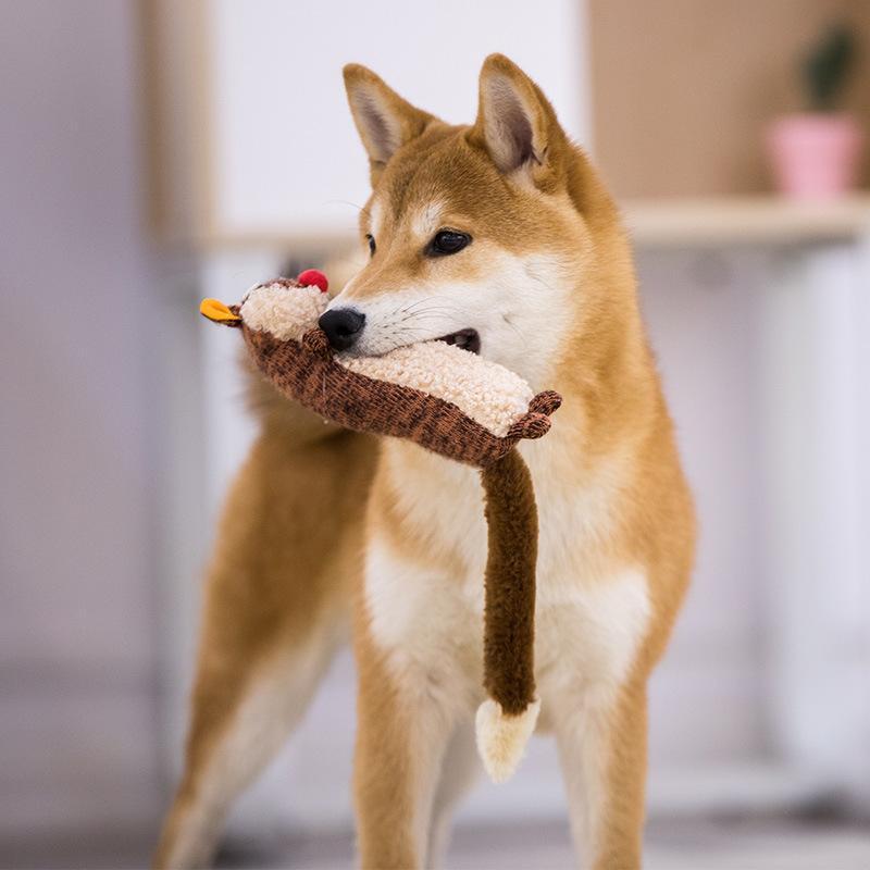 犬用おもちゃ 発声おもちゃ ぬいぐるみ 噛むおもちゃ 柔らかい 丈夫 かわいい 遊び道具 人気 ラクーン スカンク キツネ