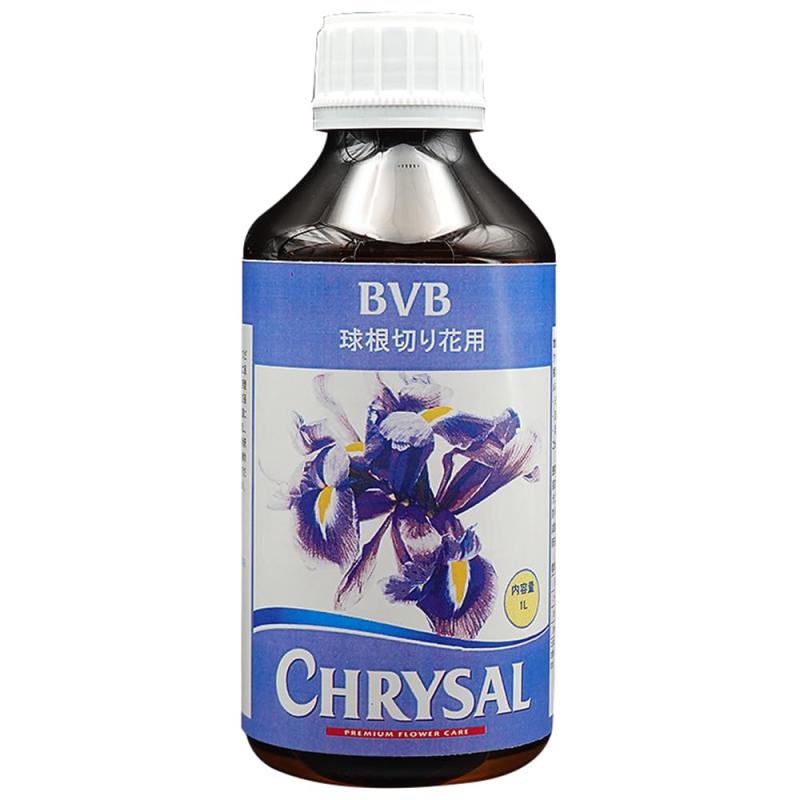 クリザール・ジャパン(Chrysal Japan) 球根系切り花用前処理剤 BVB 1L 品質を保ち日持ちを良くする MVM747