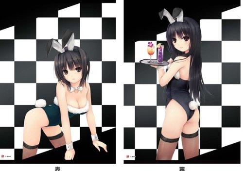 珈琲貴族 リバーシブルB2タペストリー 青山＆白峰 バニーガール ver 軸中心派
