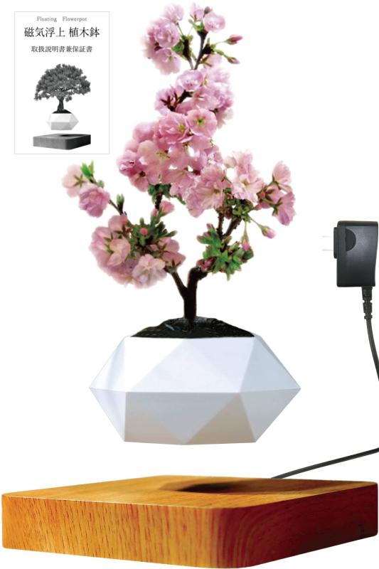 磁気浮上 植木鉢 Floating Flowerpot フローティング フラワーポット 浮く 植木鉢 浮遊 プランター 盆栽鉢 空中浮遊 オブジェ 造花 インテリア ドライフラワー インテリア おしゃれ 装飾 誕生日
