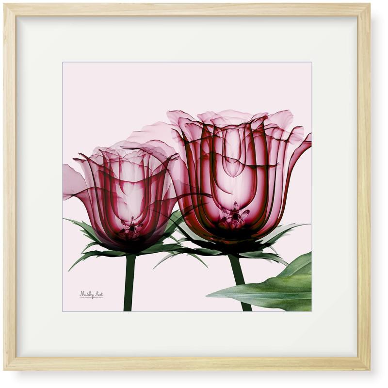 絵画「ピンク色のバラ」インテリア 絵 花 アートパネル 額入り(縦32cm x 横32cm)