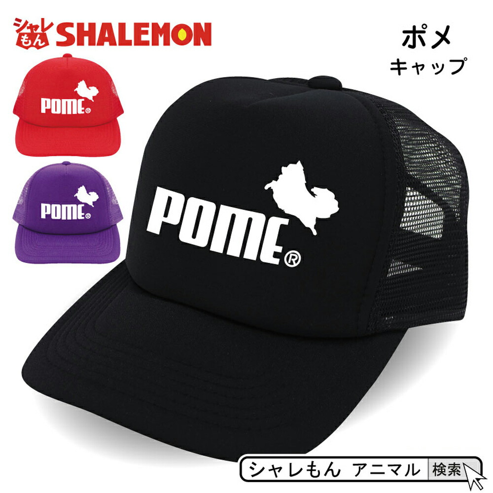 楽天市場】コーギー 動物 おもしろ アニマル ( キャップ )( 選べる3色