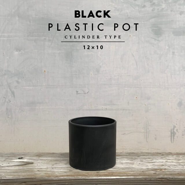 楽天市場】BLACK PLASTIC POT【STANDARD TYPE】10cm×8cm 黒 プラ鉢 3号 